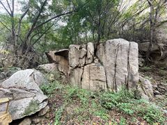 -大岭沟猕猴桃谷风景区