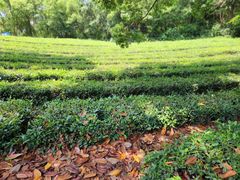 -敬亭山风景名胜区