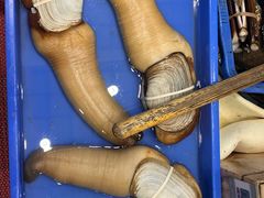 -吴记富苑(朝阳店)