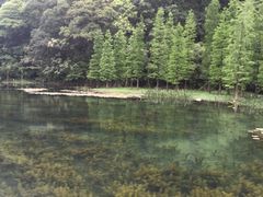 -广州市石门国家森林公园