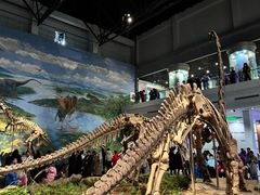 -自贡恐龙博物馆