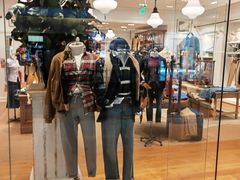 -一棵树(雨儿胡同)