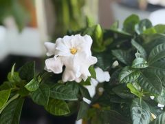 -宫七SPA·高端Massage(浦东大道店)