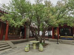 -宫事颐庭·老佛爷贵寿下午茶(颐和园店)