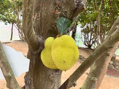 -南通洲际绿博园