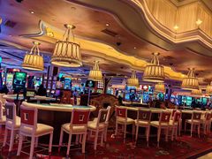 -拉斯维加斯永利酒店