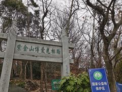 -紫金山山顶公园