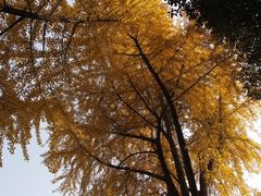 -四川大学(华西校区)