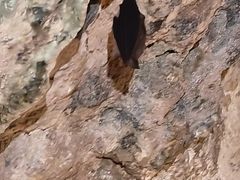 -陶祖圣境风景区