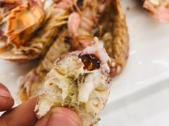 -渔民船说·北塘海鲜·天津菜·海肠捞饭(北塘古镇店)