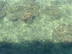 -三亚西岛海洋文化旅游区