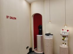 点击看大图 -IP SALON
