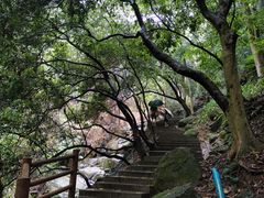 -火炉山森林公园