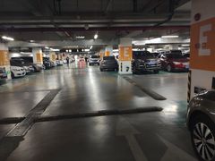 -望湘园·洞庭渔宴(浦江欢乐颂店)