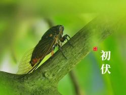 -姜美堂·蒸姜除湿の纤体美颜馆