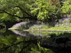 -上海共青森林公园