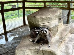 -汕尾铜鼎山旅游区