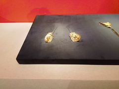 -长沙简牍博物馆