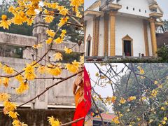 -报恩禅寺