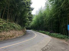 -广州市石门国家森林公园