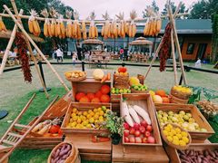 -中国天府农业博览园