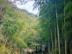 -众神白水涧景区