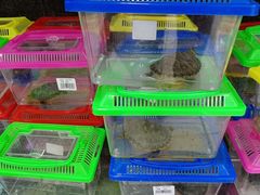 -大润发(康桥店)