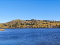 -五营红松林海景区