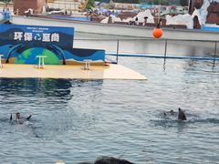 -秦皇岛乐岛海洋王国