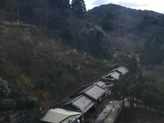-有栖山 清光院 清水寺