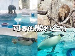 -珠海长隆海洋王国