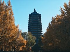 -玲珑塔公园