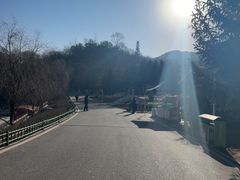 -青藏高原野生动物园