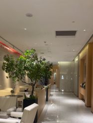 -半岛故事·法儿曼抗衰·indiba中心