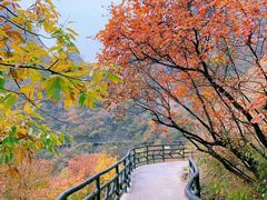 -十渡东湖港风景区