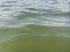 -碧海金沙