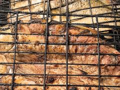 -清真老马家国华牛奶鸡蛋醪糟(正宁路店)