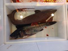 -江湖水乡铁锅炖魚(周庄嘉园店)