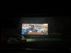 -枫花园汽车电影院(朝阳公园店)