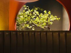 -青年公社烤鸭(滨湖银泰店)