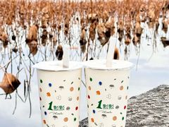 -西湖外事游船(花港观鱼码头)