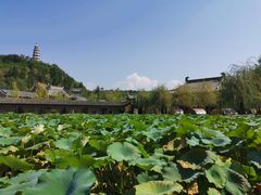 -渭南桃花源民俗文化园