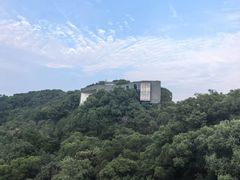 -福道