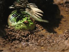 -长沙友阿奥特莱斯