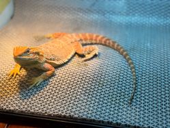 -酷嗒动物文化乐园(cutezoo西溪乐天城店)