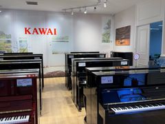 -柏斯音乐艺术中心·钢琴·吉他(世纪金源店)