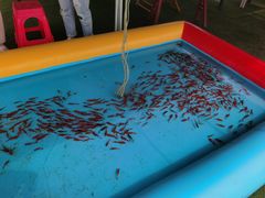 -小鱼草莓采摘园农家乐·小鱼餐厅