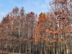 -厦门园林博览苑