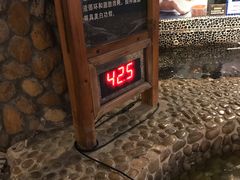 游乐设施-观澜山水田园