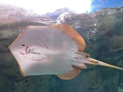 -珠海长隆海洋王国